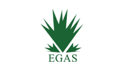 The Egyptian Natural Gas Holding