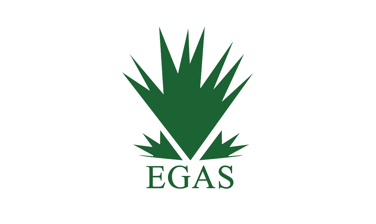 The Egyptian Natural Gas Holding